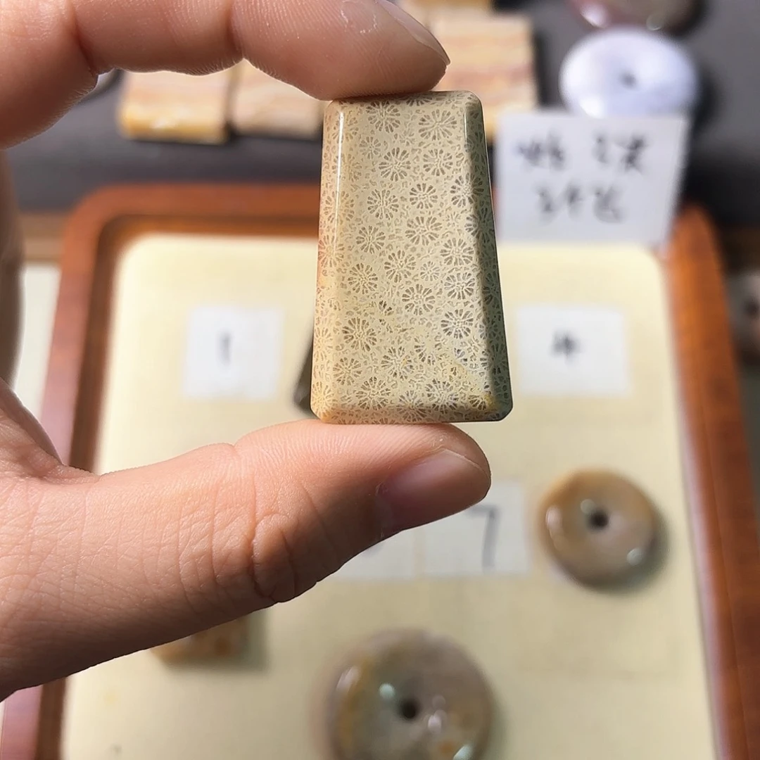 硅化玉颈饰未镶嵌玖*