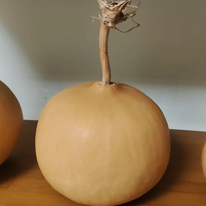 药***磊有机玻璃恭喜发财，红包拿来