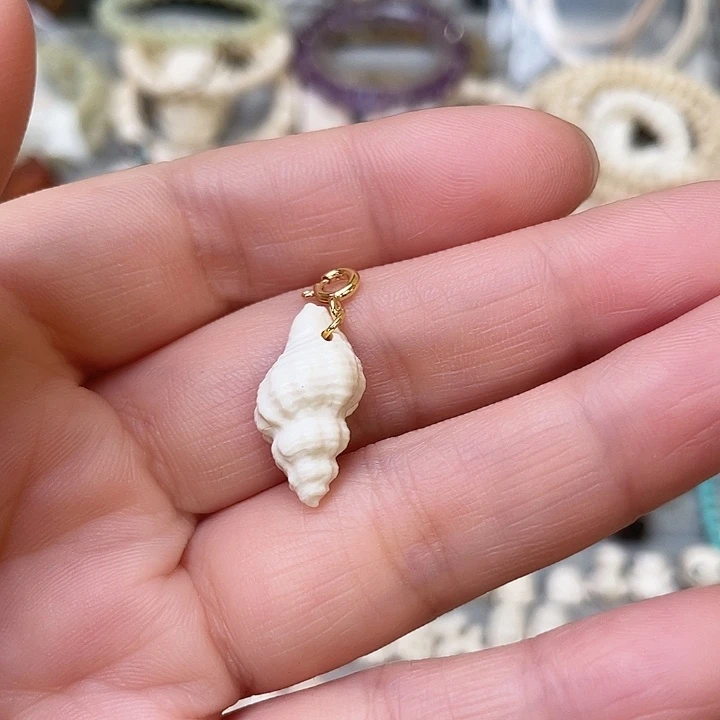 手串/手链/手镯猛犸象牙海螺