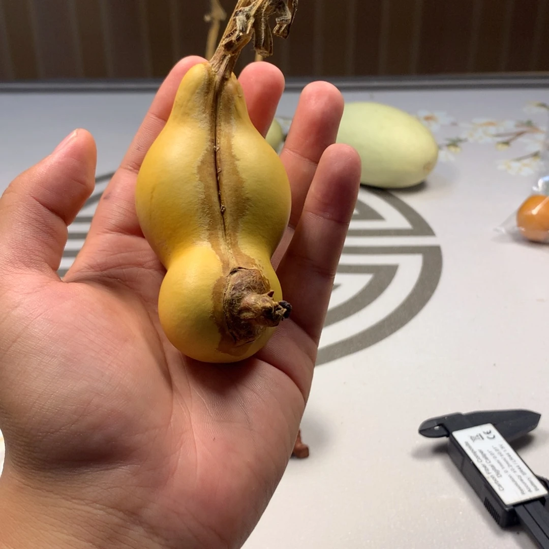 大***呦啊啊啊啊啊啊啊啊啊啊啊啊啊啊啊啊啊啊啊啊啊啊啊