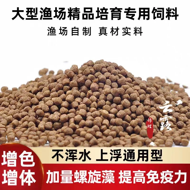 锦鲤专用鱼食小中颗粒增体增色上浮不下沉不浑水