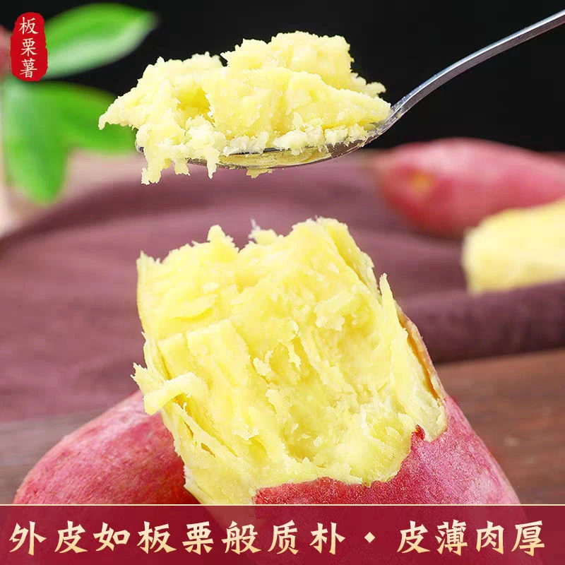 《健硕农场》板栗山芋 软糯香甜  沙地番薯 黄心红薯板栗红薯天津市