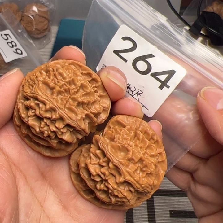 核桃全品苹果园246号43尺