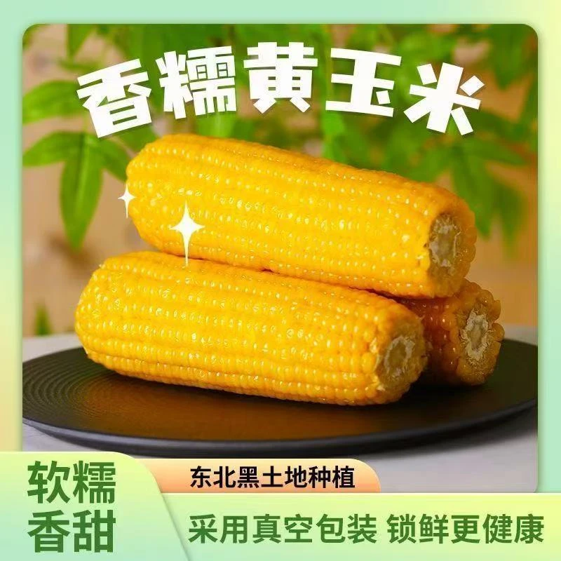 【试吃5根】东北黄糯玉米软糯粘香真空包装7-8斤14棒