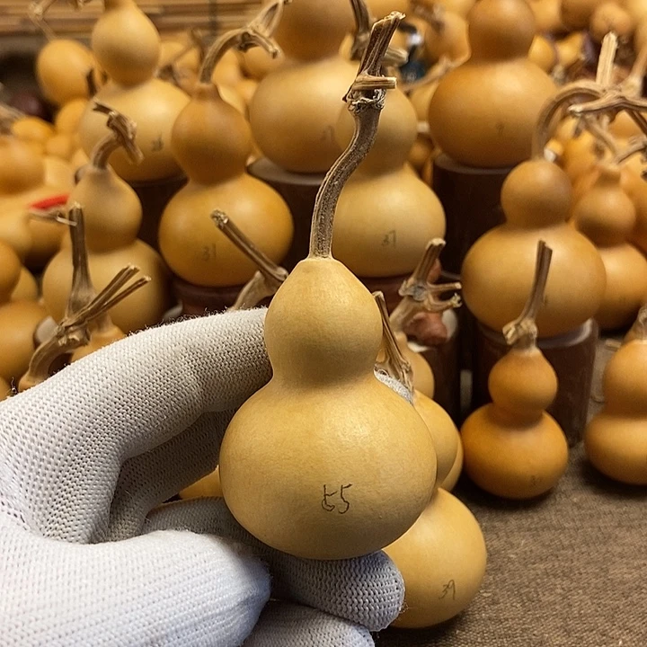 文玩葫芦 完美主义者 慎拍55