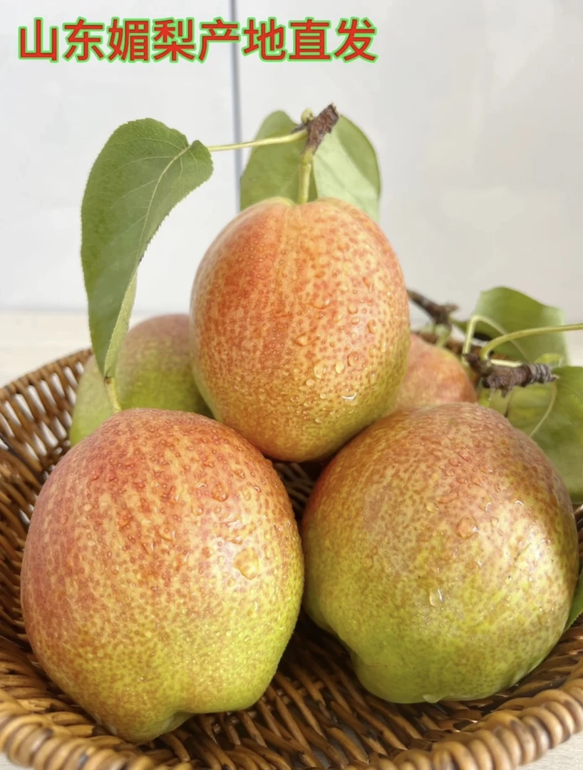 山东媚梨新梨七号孕妇水果产地直发新鲜采摘绿色