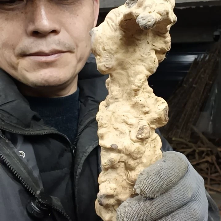 稳定木用****3檬檬木半成品原材料