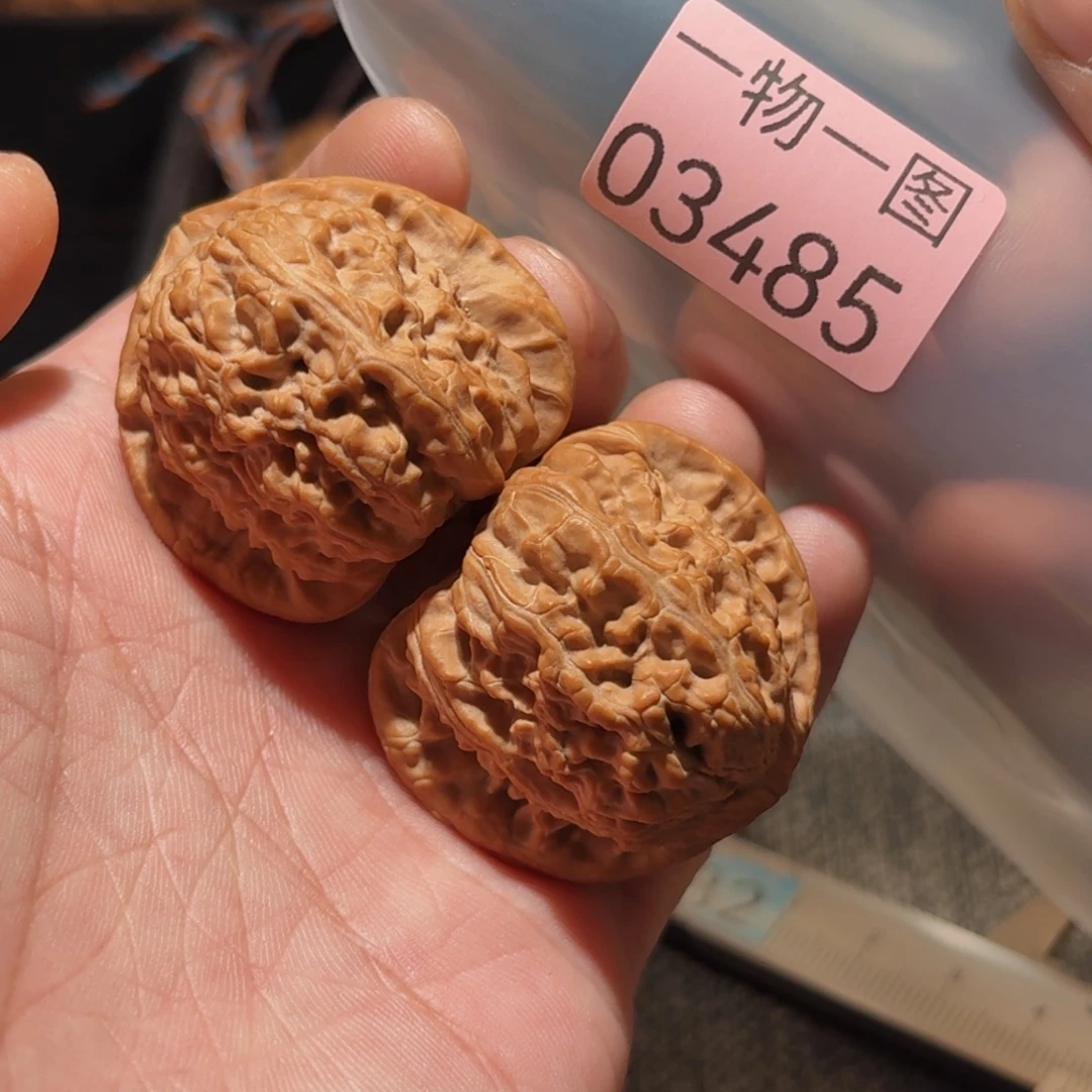 把件文玩核桃白狮子