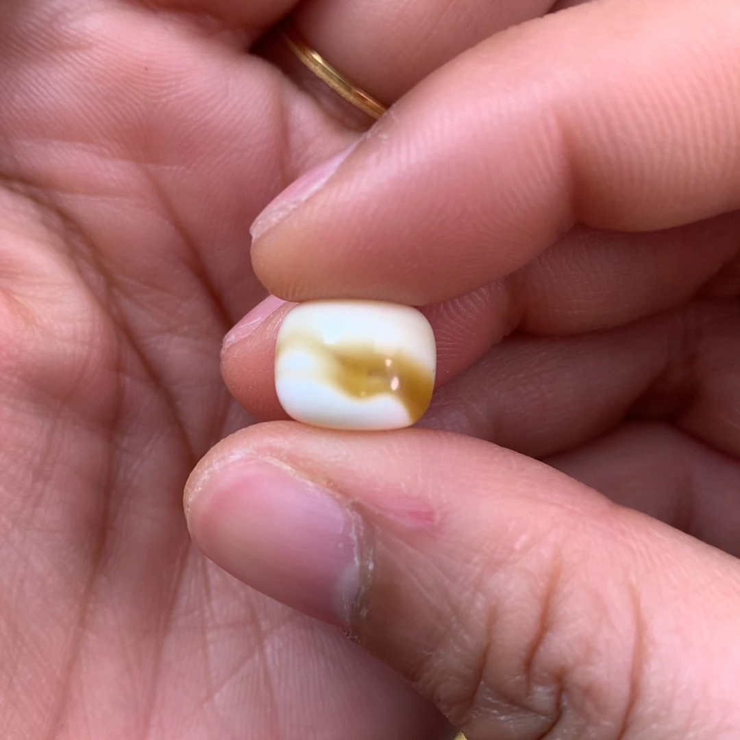琥珀裸石未镶嵌蜜蜡