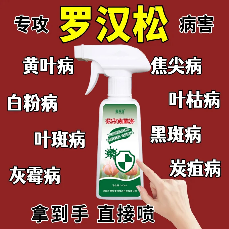罗汉松病害专用肥料叶子枯萎白粉病枯叶病茎腐病根腐病营养液菌剂
