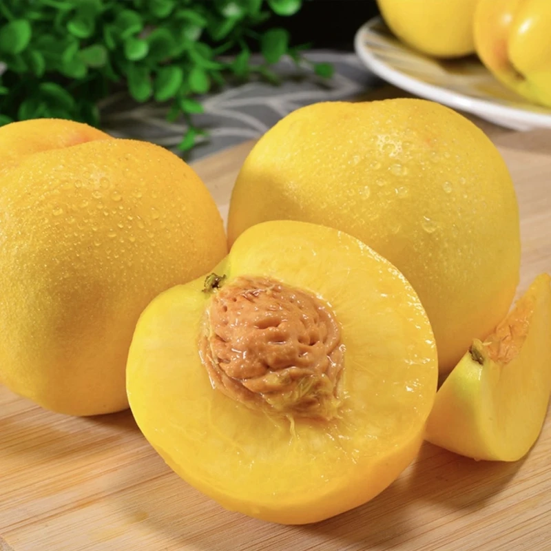 山东蒙阴黄桃黄金油桃黄心油桃水蜜桃自产自销