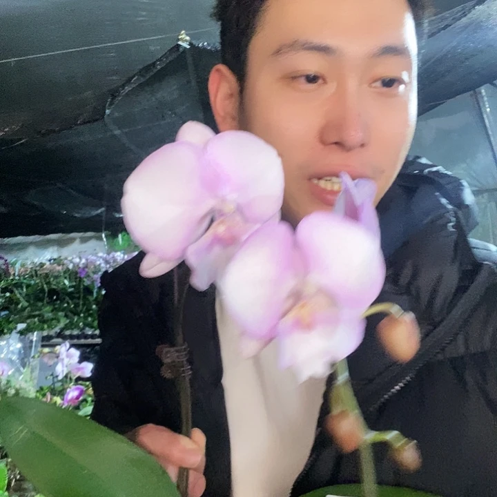 无花朵梦幻天使福利