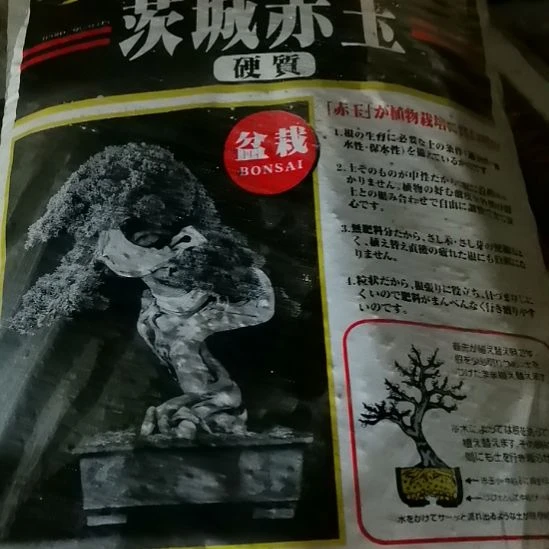 日本此城2本线2-6颗粒一包