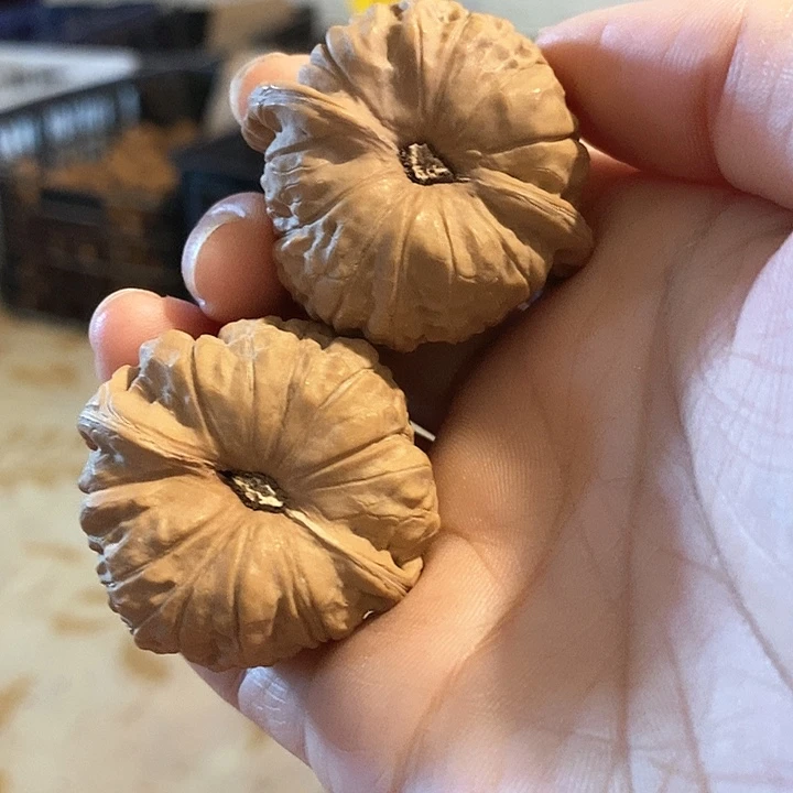 核桃手串/手链南瓜