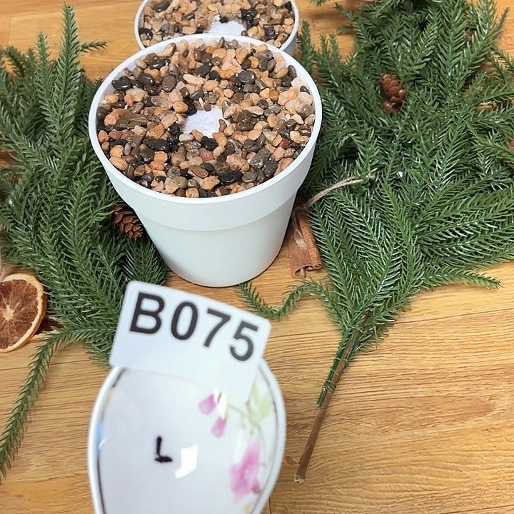 紫砂2345682458:;:;