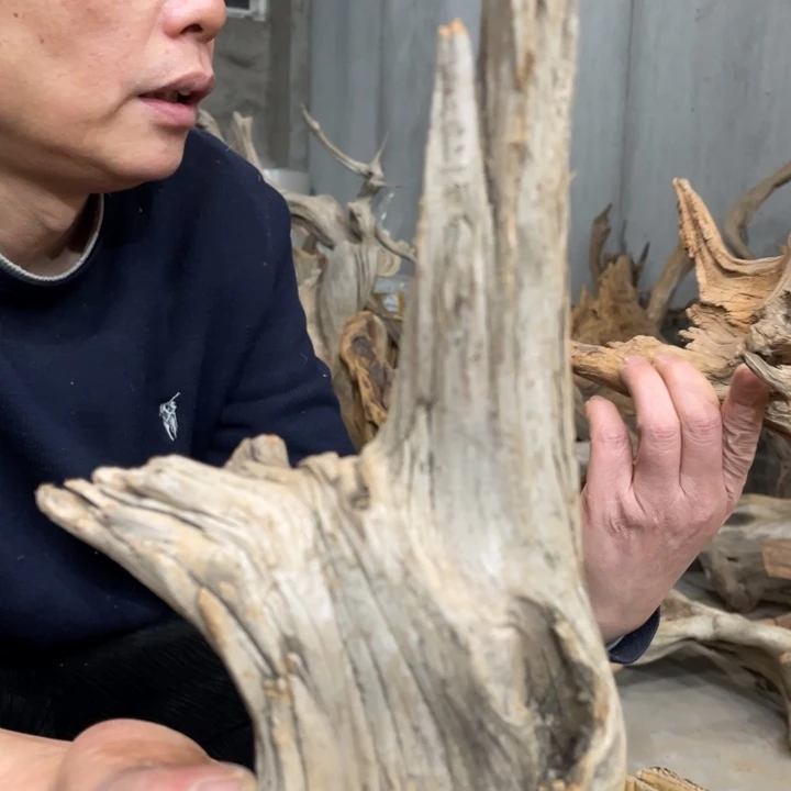 蓝*我们都是好孩子呀