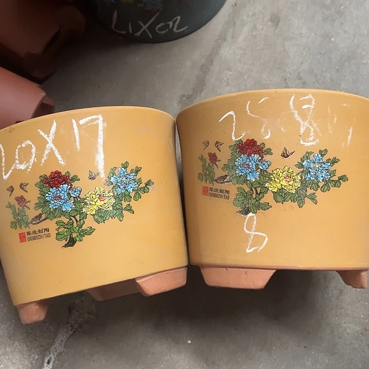 周深周深周深周深