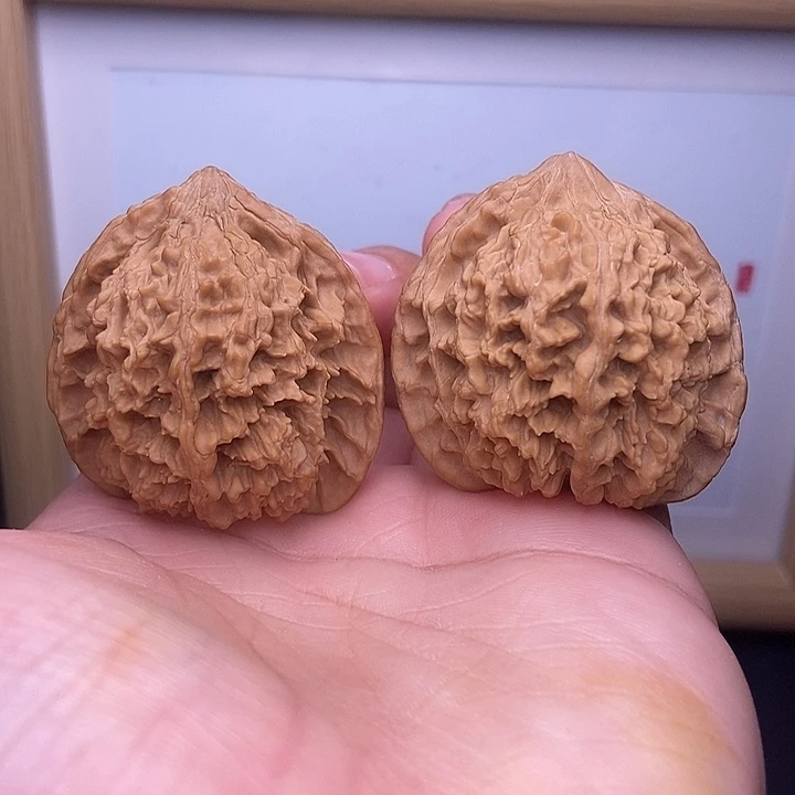 核桃全品满天星星