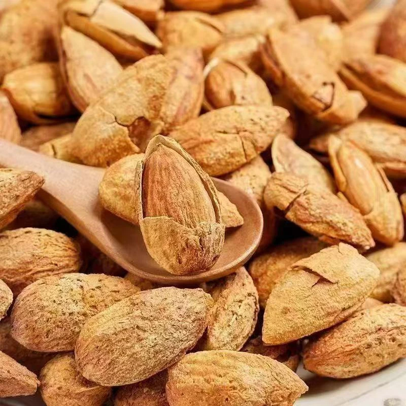 薄皮巴旦木 当季新货 薄皮巴旦木 1斤装