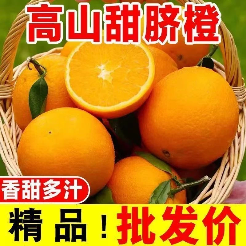 【果农推荐】正宗三峡秭归高山脐橙当季新鲜水果自家农场现摘现发