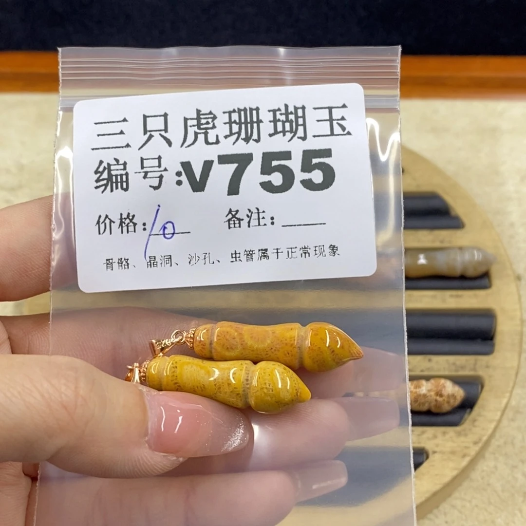 硅化珊瑚（珊瑚玉）未镶嵌1向****?