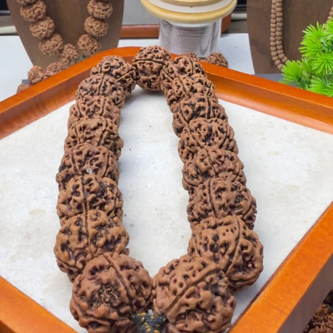 马***鑫金刚菩提吊坠野生籽天尊