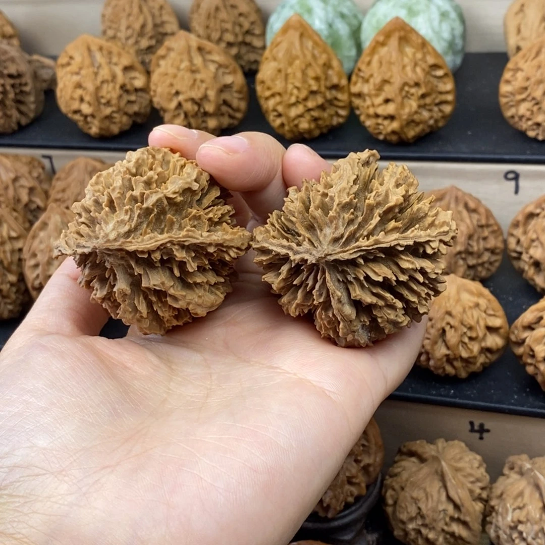 *****把件文玩核桃大呲花48练手对