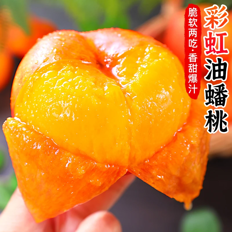 【软硬两吃】彩虹油蟠桃2-4.5斤黄桃子黄金油蟠桃非毛桃新鲜水果