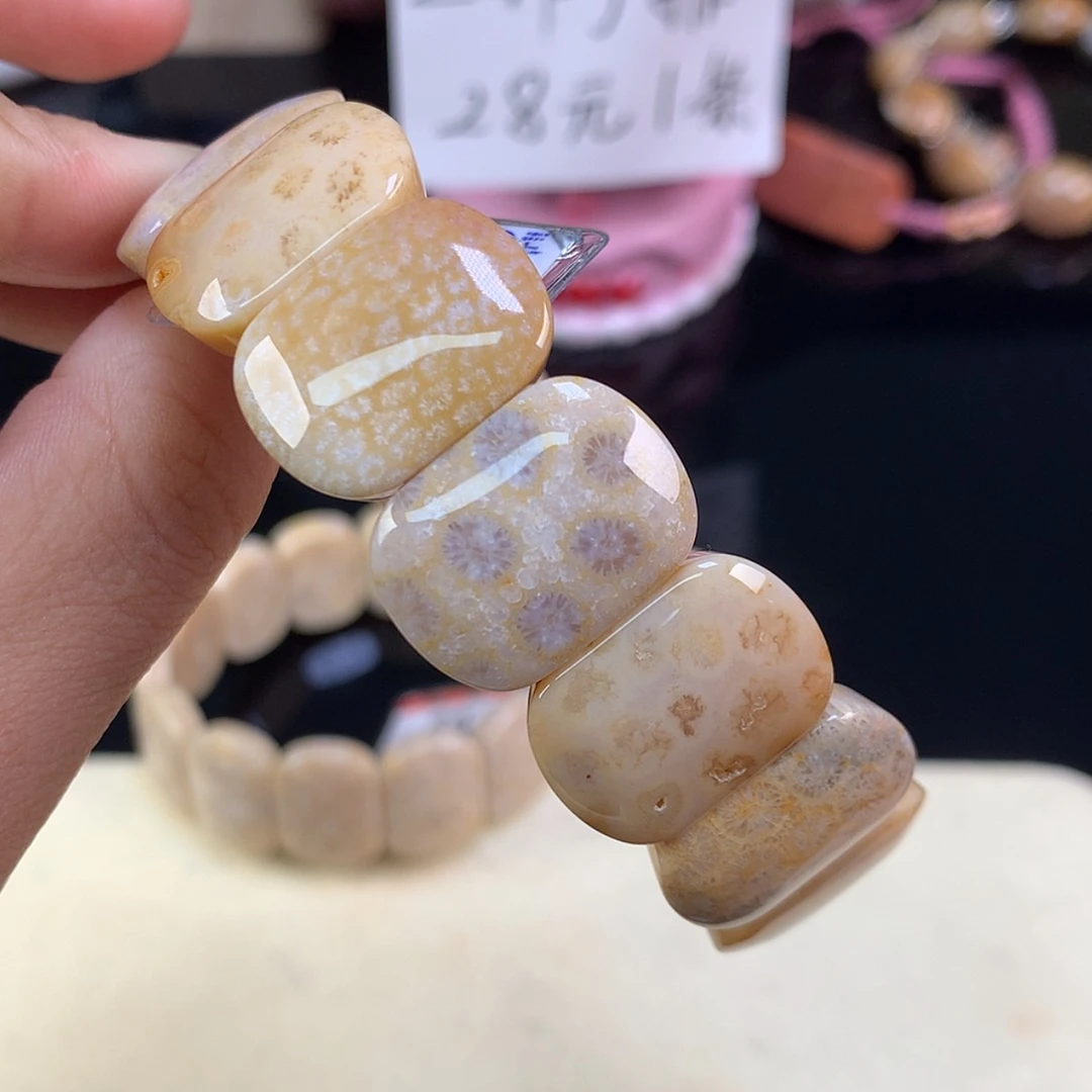 【闪购商品】颈饰未镶嵌硅化珊瑚（珊瑚玉）4号福利