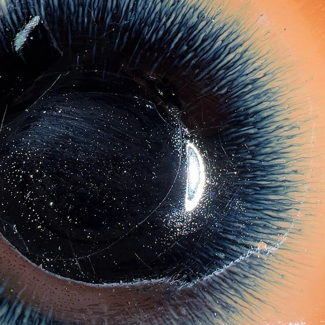 茶盏老表精选柴烧3