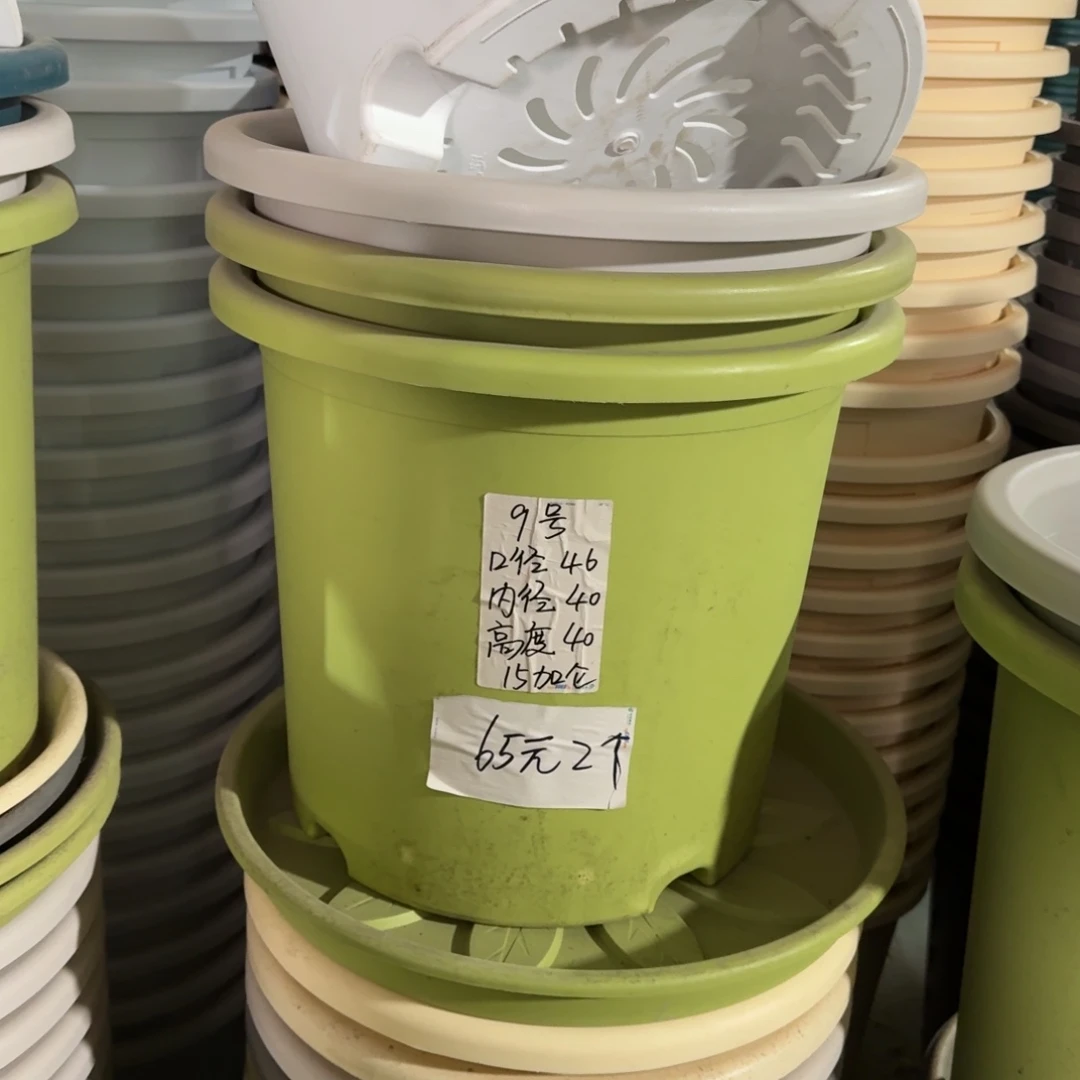 四季9#口径46无拖果绿2个