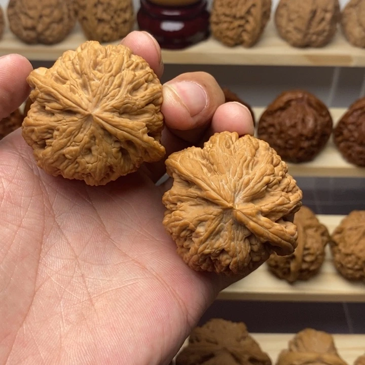 把件核桃45尺全品大粗筋