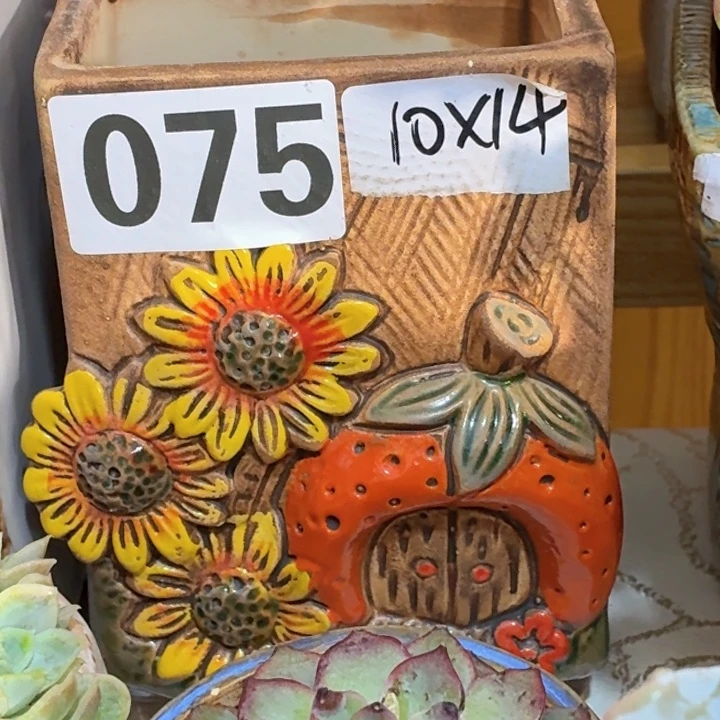 多肉花盆满15包邮，爱退款拉黑