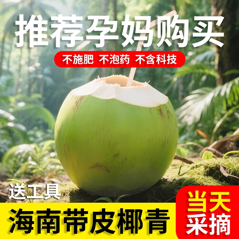 【粉丝专属】海南带皮椰青新鲜嫩椰子椰青现摘现发孕妇水果补充羊水
