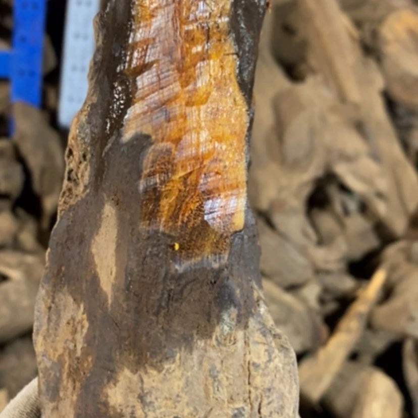 【闪购商品】贡木手串家****）私人订制