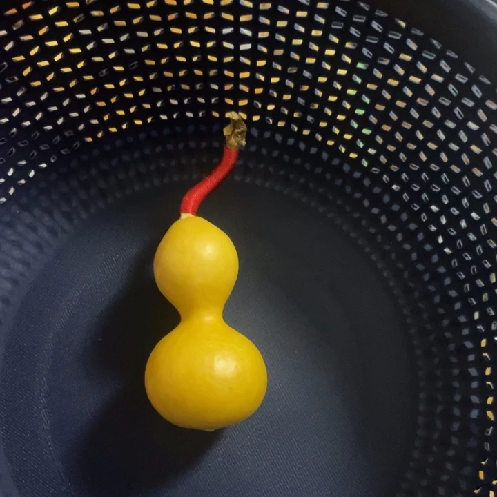 19号厚皮细腰手把手捻卡6.06