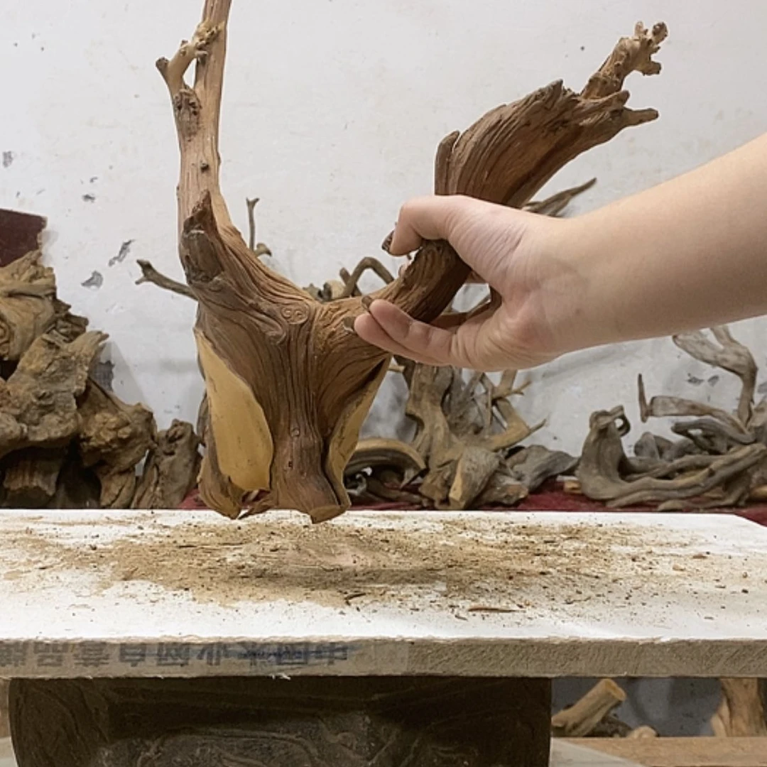 【闪购商品】柏木登**远我们都是好孩子