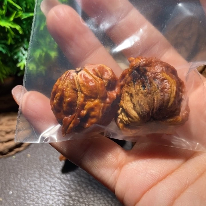 把件文玩核桃东北楸子小雪28