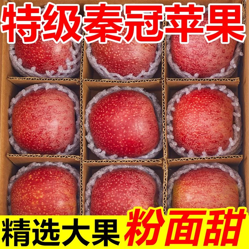 正宗陕西秦冠粉面苹果香甜刮泥吃应季新鲜苹果水果批发一整箱包邮