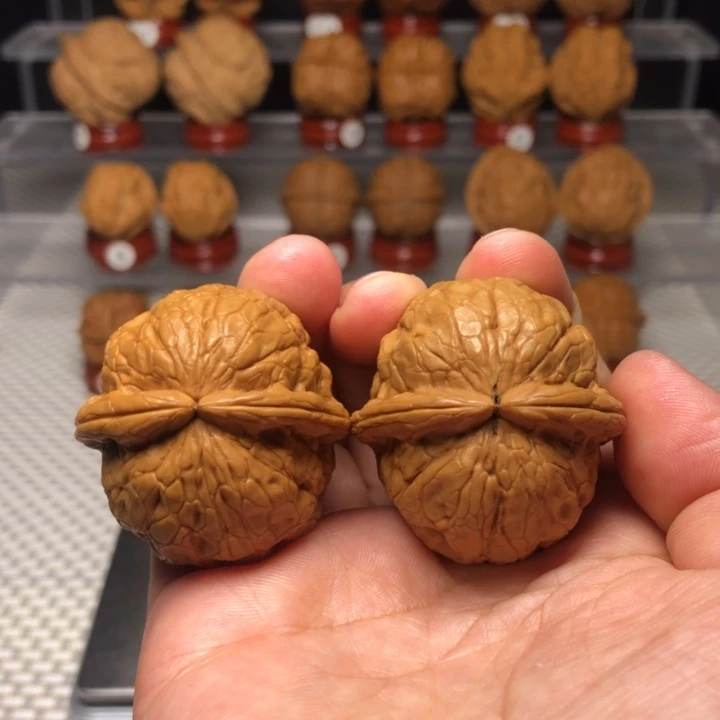 文玩核桃把件28金龟玉甲