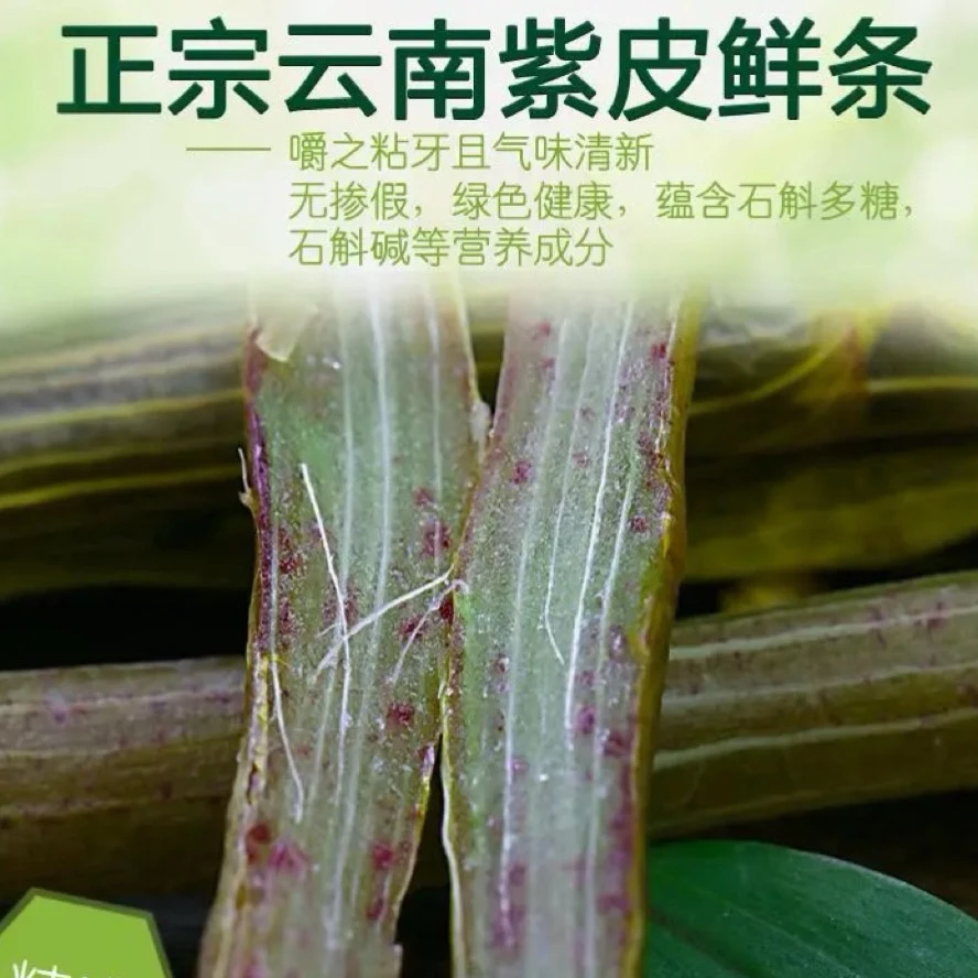 云南高山紫皮石斛鲜条下坡货无农残 煲汤 泡酒 煲粥 泡水