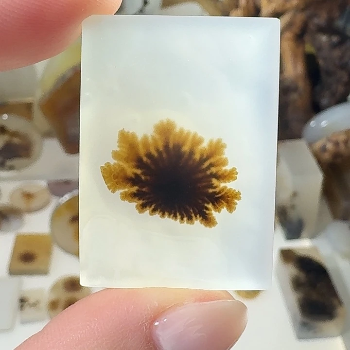 玛瑙/玉髓未镶嵌珠宝奇石