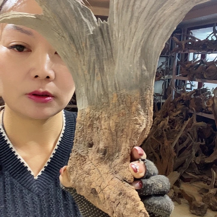 文玩核桃吊坠刘*敏hhhhhhhhh