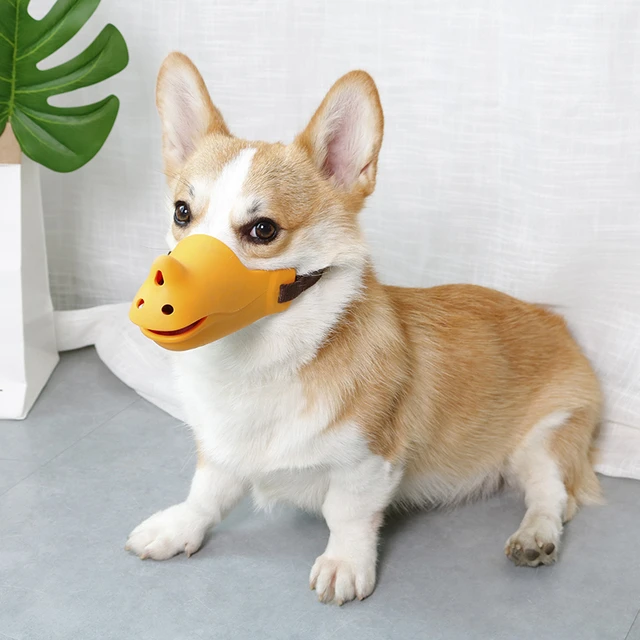 狗狗嘴套柯基中小型犬防舔防咬叫防乱吃狗口罩嘴罩止吠器宠物用品