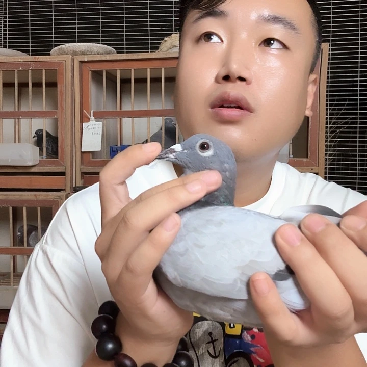 洪****料清光绪二十三