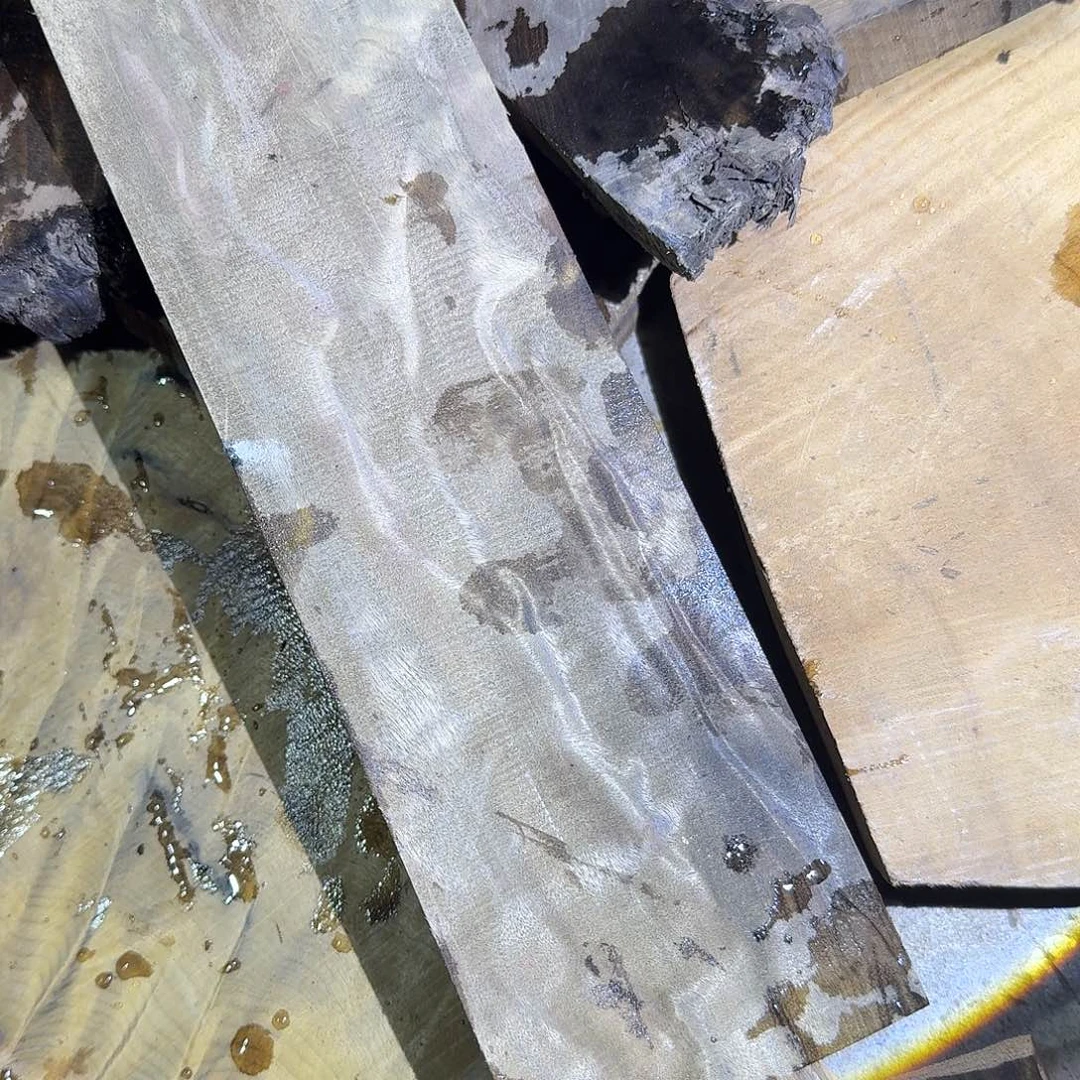 独***者金丝楠木小叶桢楠