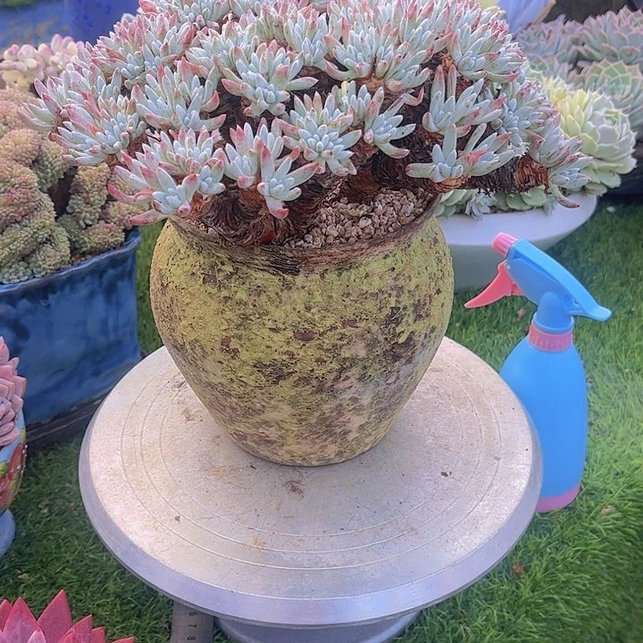 驰***。带盆哈哈哈哈哈哈哈哈哈哈