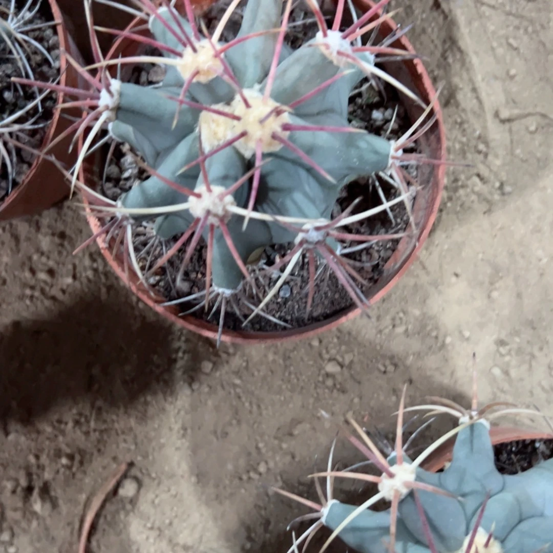 猫***‍哈哈哈哈哈哈哈哈哈