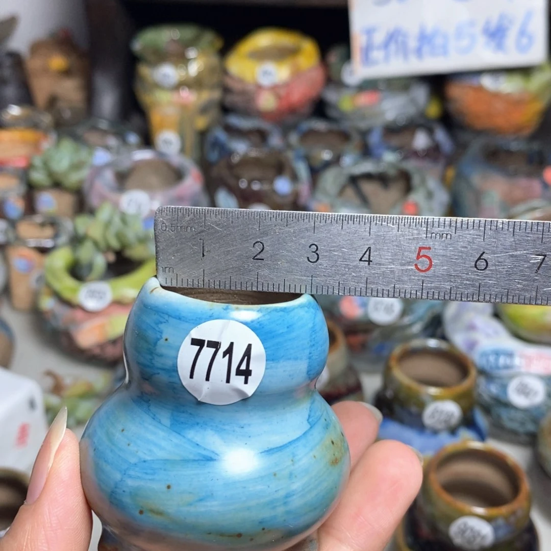 拍5送一个小礼物