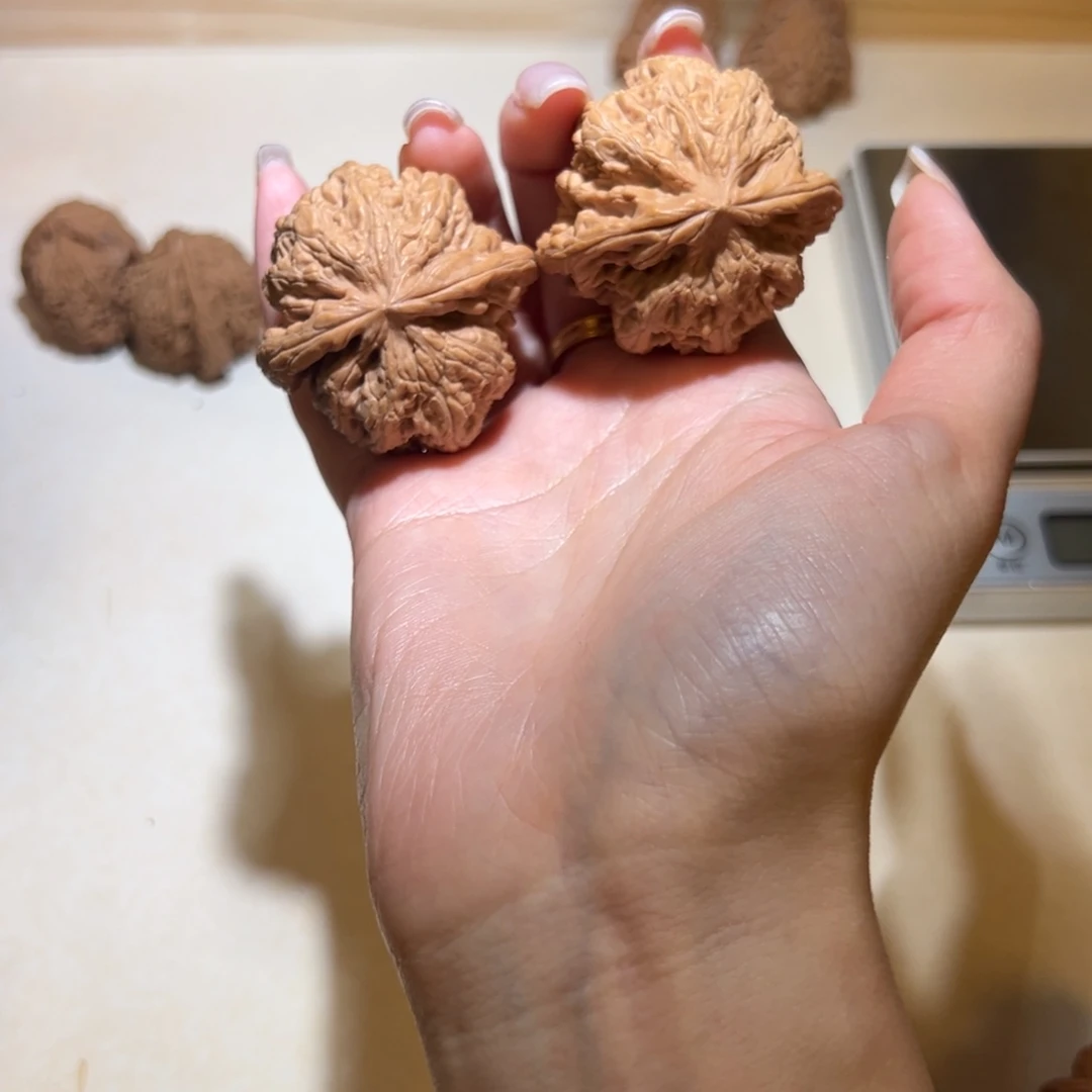 龙核堂福利核桃大粗筋